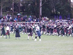 Click image for larger version. 

Name:	DSC01333.jpg 
Views:	12 
Size:	167.9 KB 
ID:	17823
