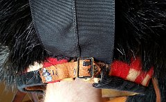 Click image for larger version. 

Name:	small buckle n ribbon.jpg 
Views:	5 
Size:	383.8 KB 
ID:	28885