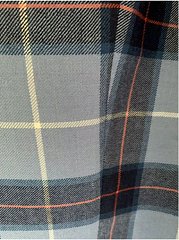 Click image for larger version. 

Name:	Unknow Tartan.jpg 
Views:	14 
Size:	96.1 KB 
ID:	37927