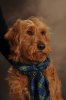 Mudge's Avatar